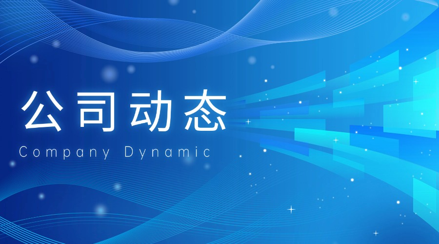 公司动态
